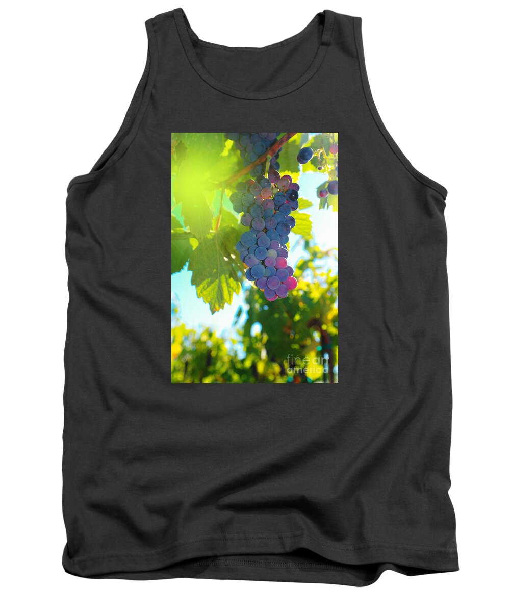 Wine Tank Top featuring the photograph Wine grapes by Jeff Swan
