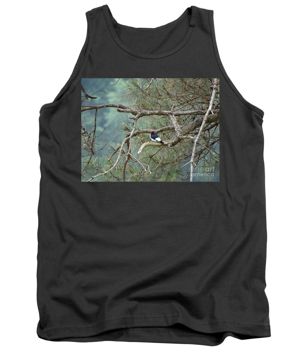 Woodpecker Tank Top featuring the photograph Woodpecker by Joseph Baril
