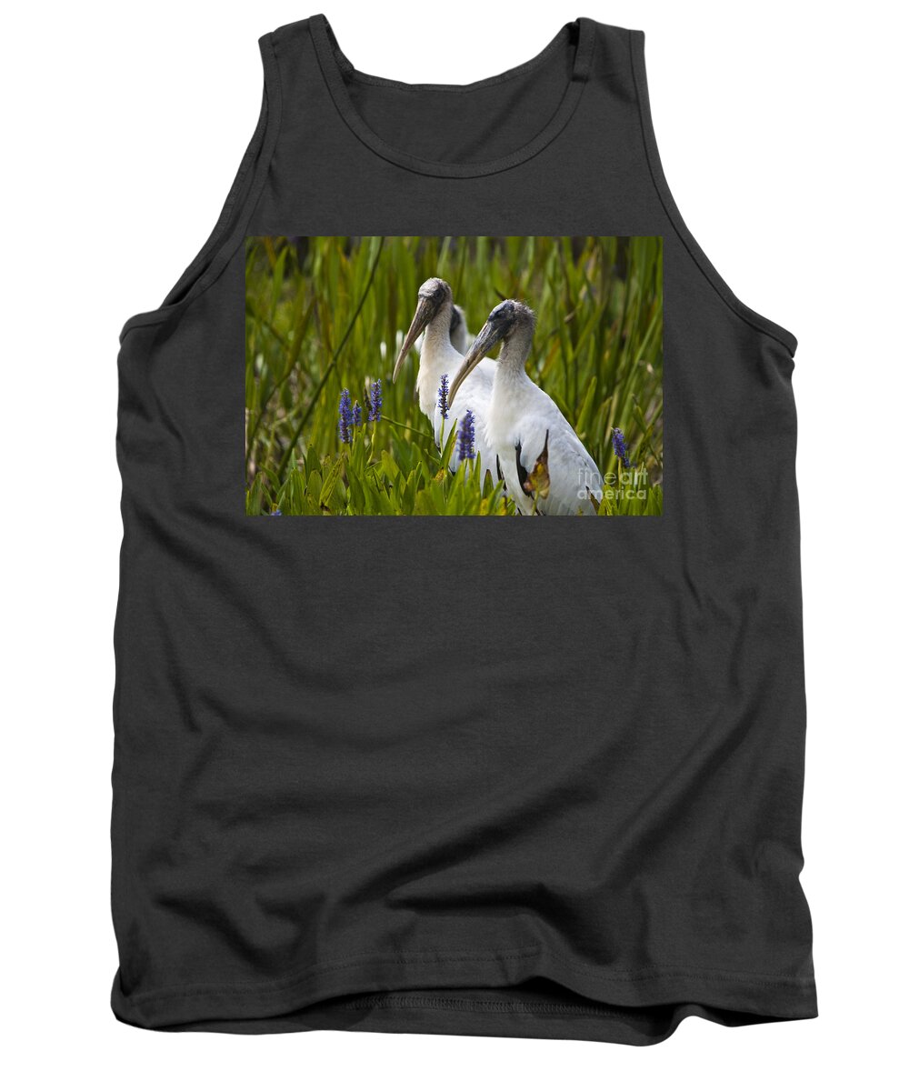 Woodstorks Tank Top featuring the photograph Woodstorks No.4 by John Greco