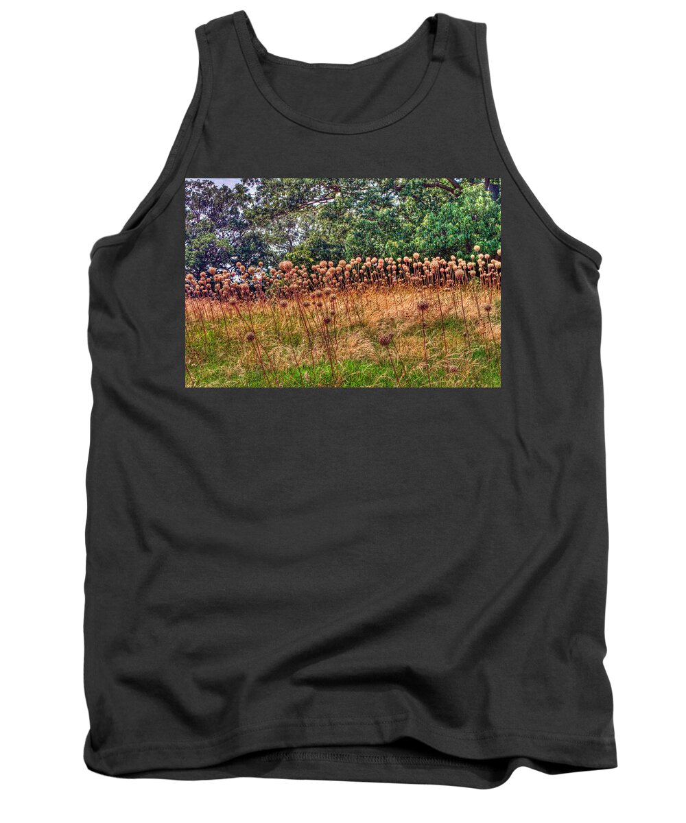 Yorktown Tank Top featuring the photograph Yorktown Onion Field by Jerry Gammon