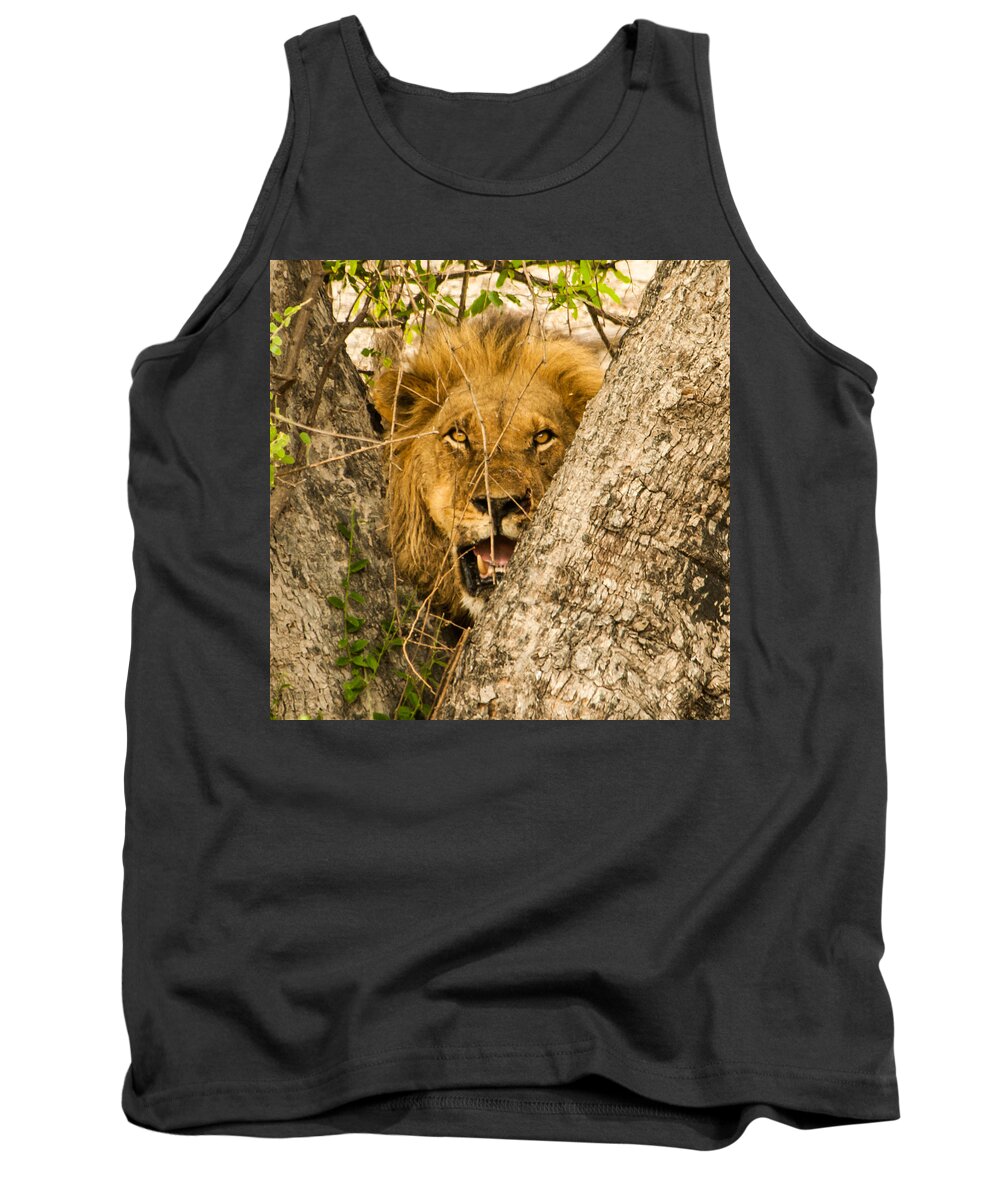 Africa Tank Top featuring the photograph You can't see me by Alistair Lyne