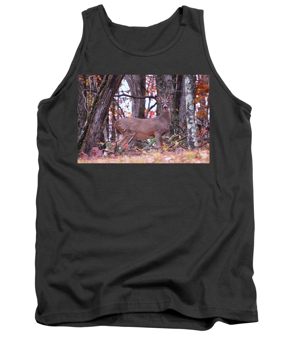 Buck Tank Top featuring the photograph You looking at me? by Eric Liller