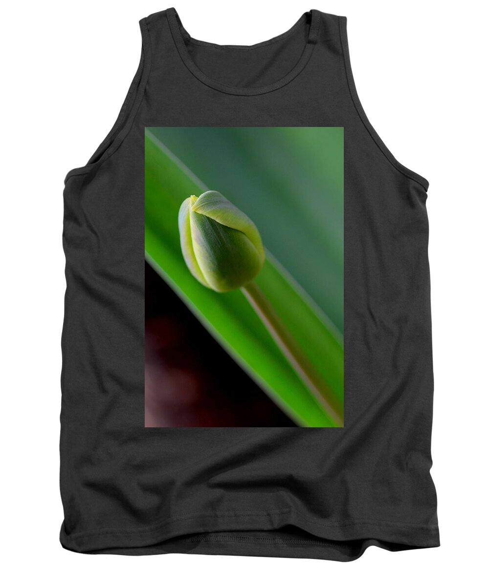 Tulip Tank Top featuring the photograph Young Tulip by Lisa Phillips