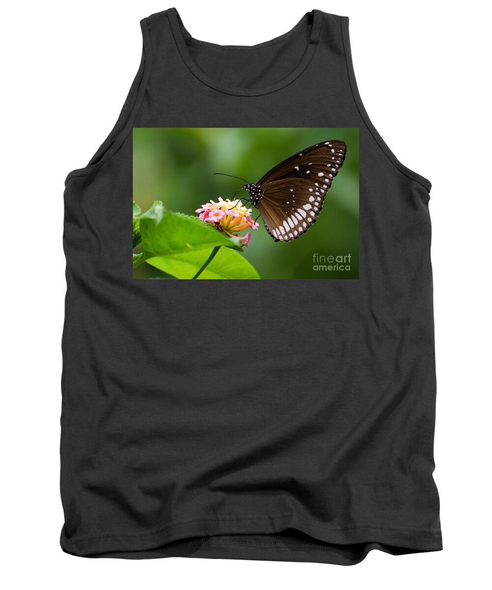 Butterfly Tank Top featuring the photograph Butterfly #1 by Fotosas Photography