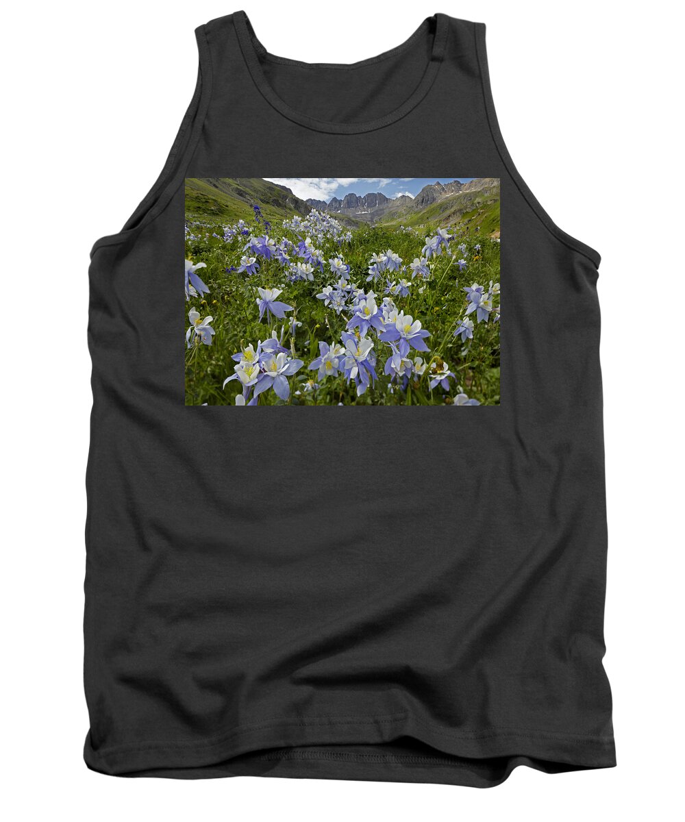 00438895 Tank Top featuring the photograph Colorado Blue Columbine Flowers #1 by Tim Fitzharris