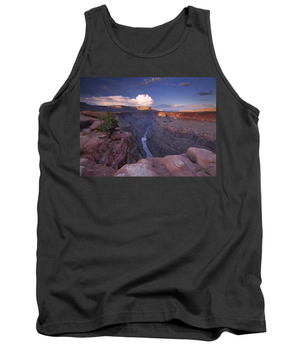 00174862 Tank Top featuring the photograph Colorado River From Toroweap Overlook #1 by Tim Fitzharris