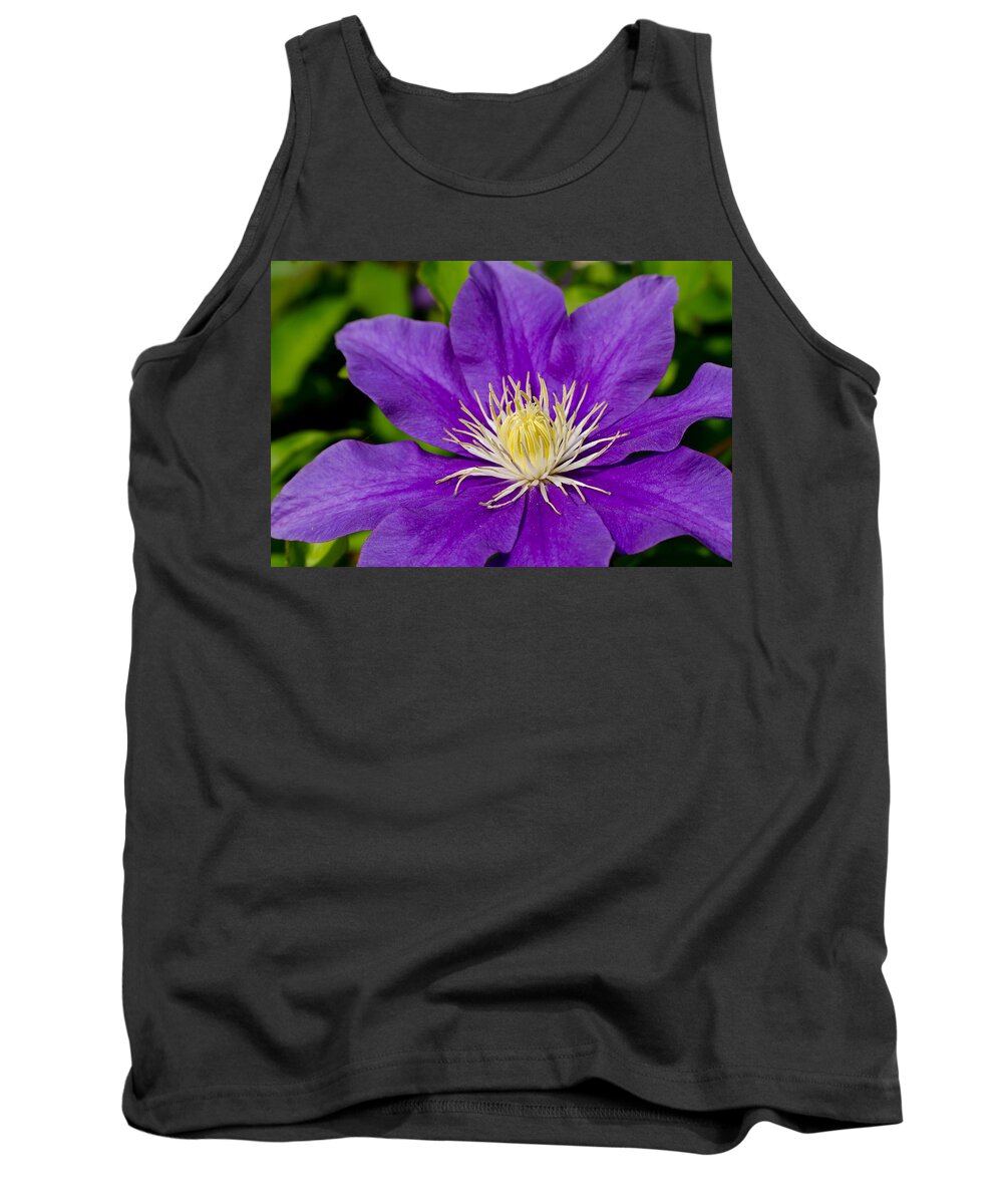 Da*55 1.4 Tank Top featuring the photograph Purple Clematis Flower #1 by Lori Coleman
