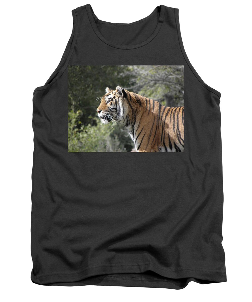 Tiger Tank Top featuring the photograph Tiger #1 by Kim Galluzzo