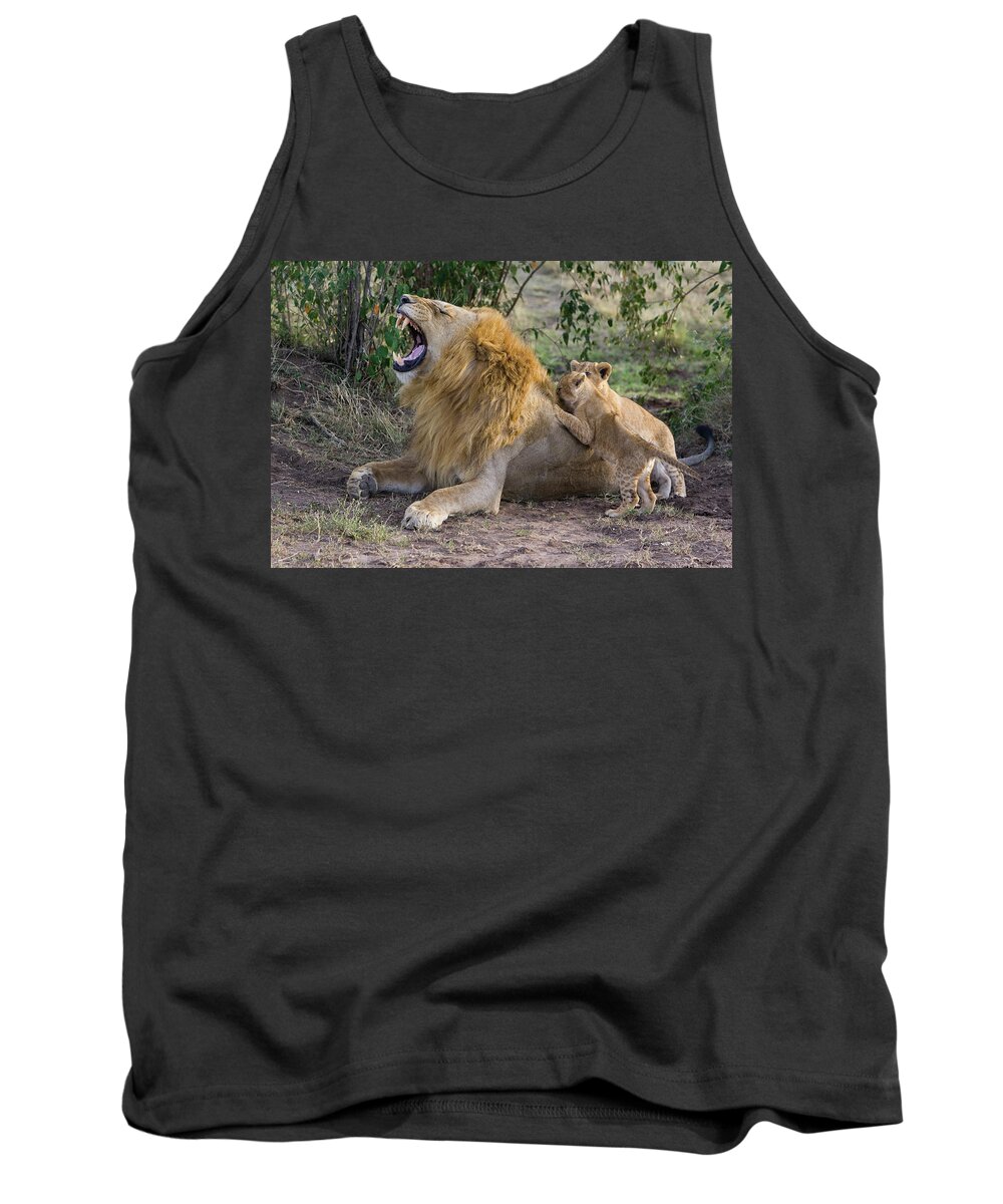 Mp Tank Top featuring the photograph African Lion Panthera Leo Seven #2 by Suzi Eszterhas