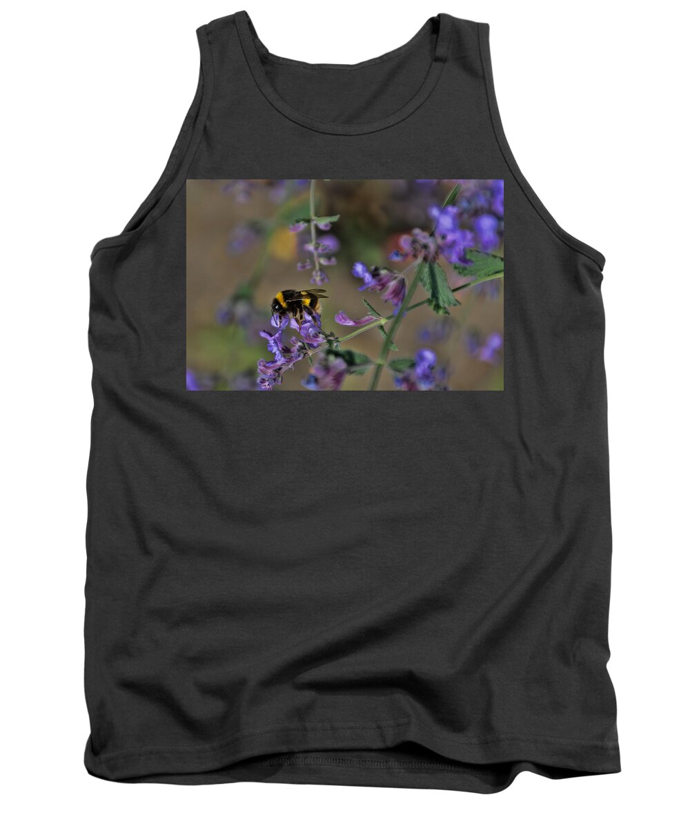 Scotland Tank Top featuring the photograph Bee #2 by David Gleeson