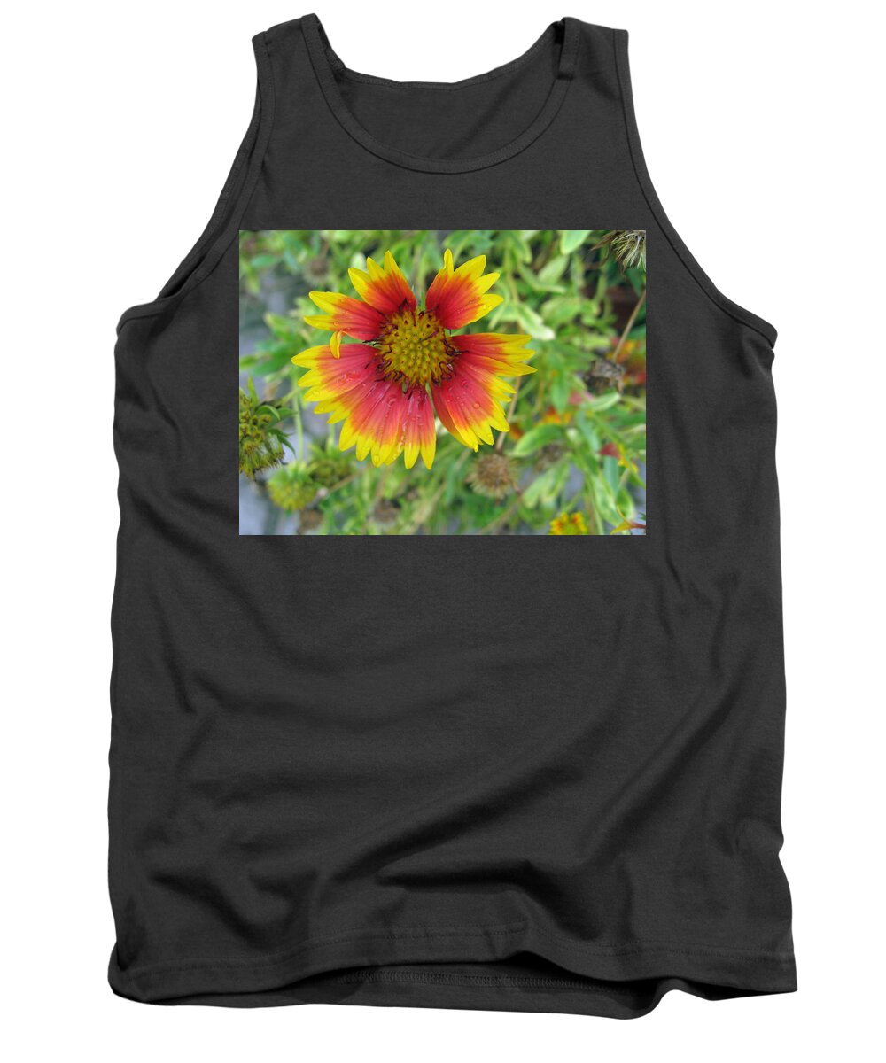 Flower Tank Top featuring the photograph A beautiful Blanket Flower by Ashish Agarwal