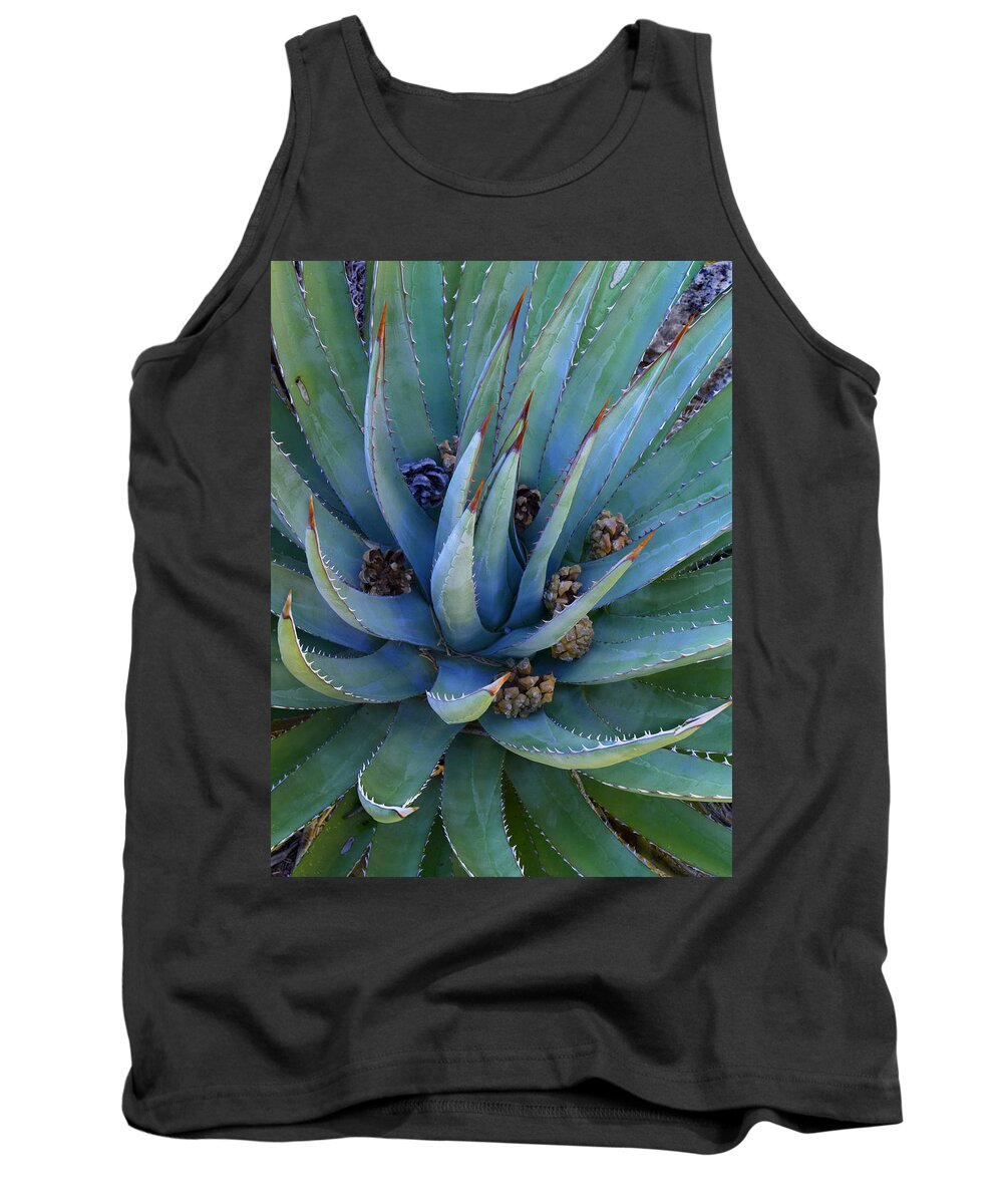 00175203 Tank Top featuring the photograph Agave Plants With Pine Cones North by Tim Fitzharris