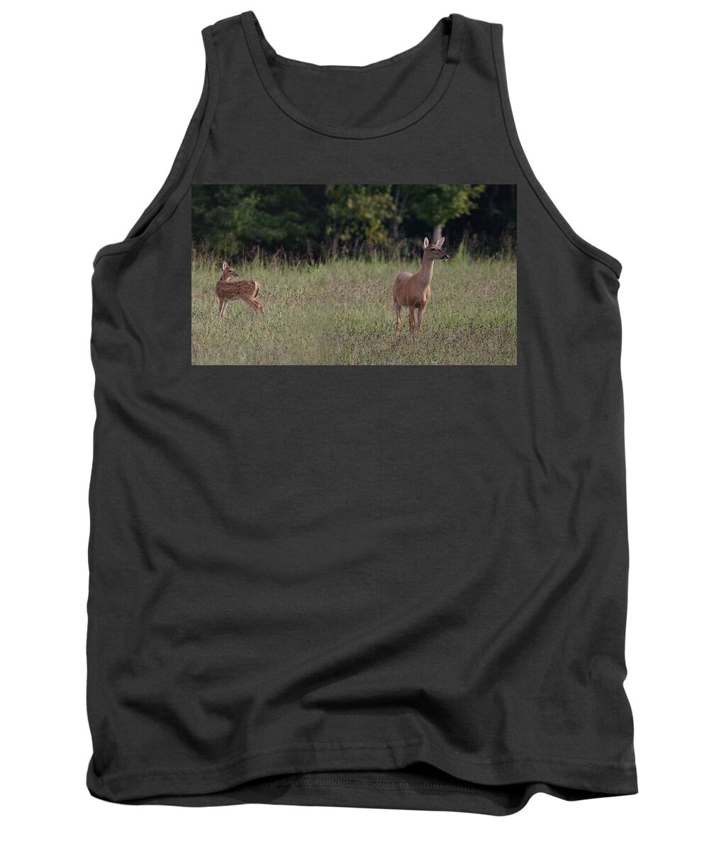 Odocoileus Virginanus Tank Top featuring the photograph Alert Doe And Fawn by Daniel Reed