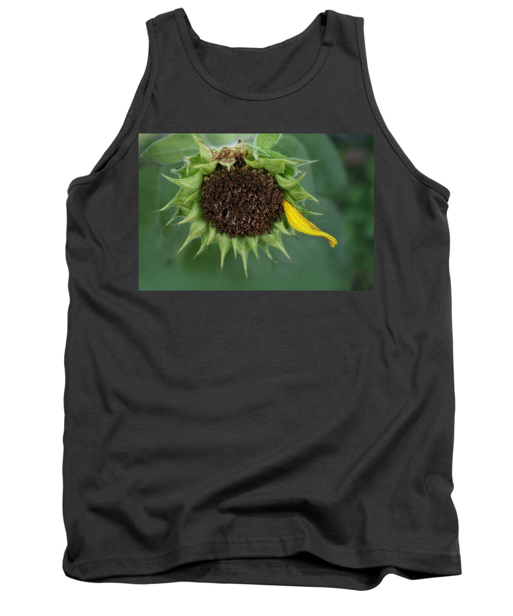 All Tank Top featuring the photograph All That Remains by Kathy Clark