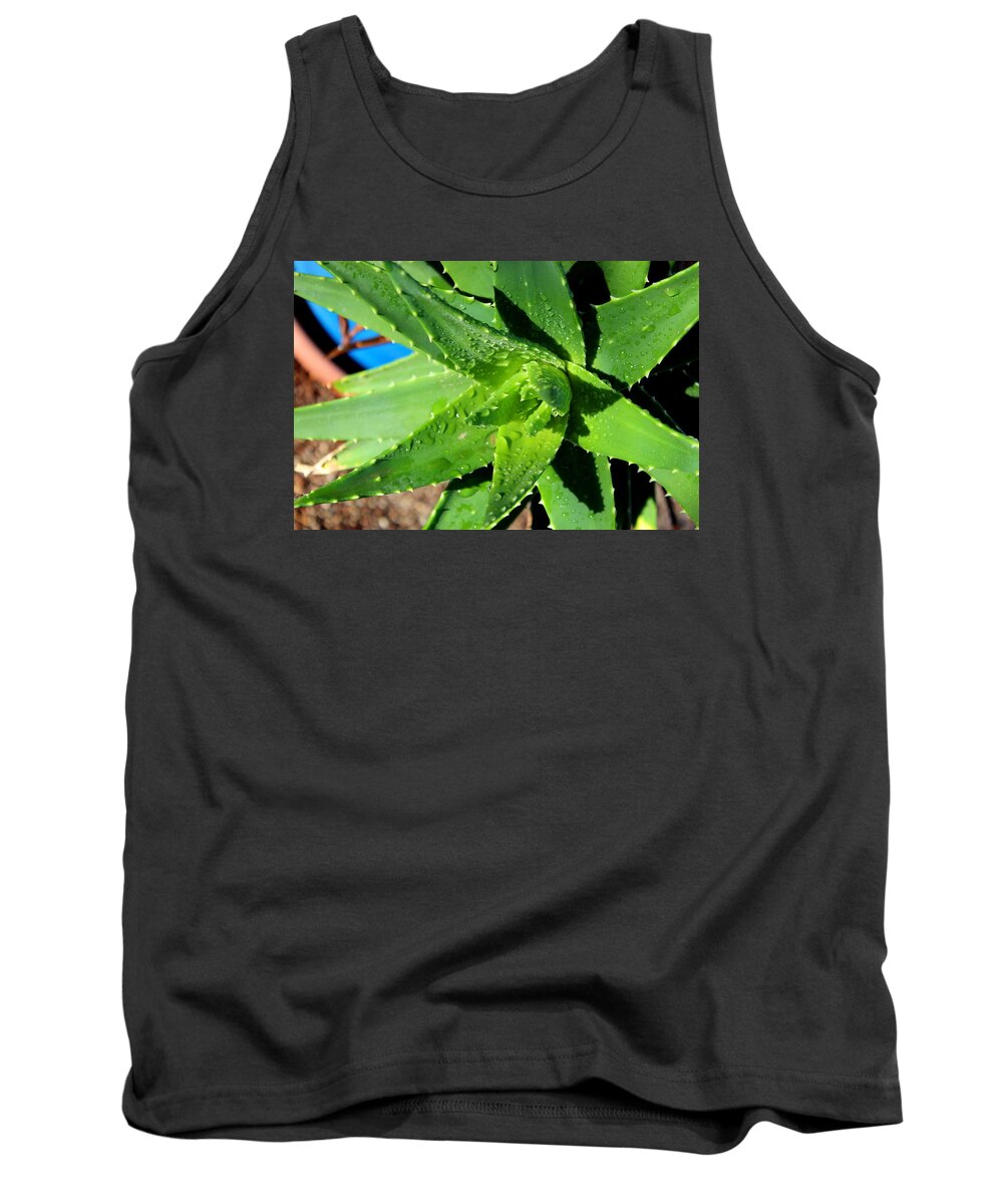  Tank Top featuring the photograph Aloe by M Diane Bonaparte