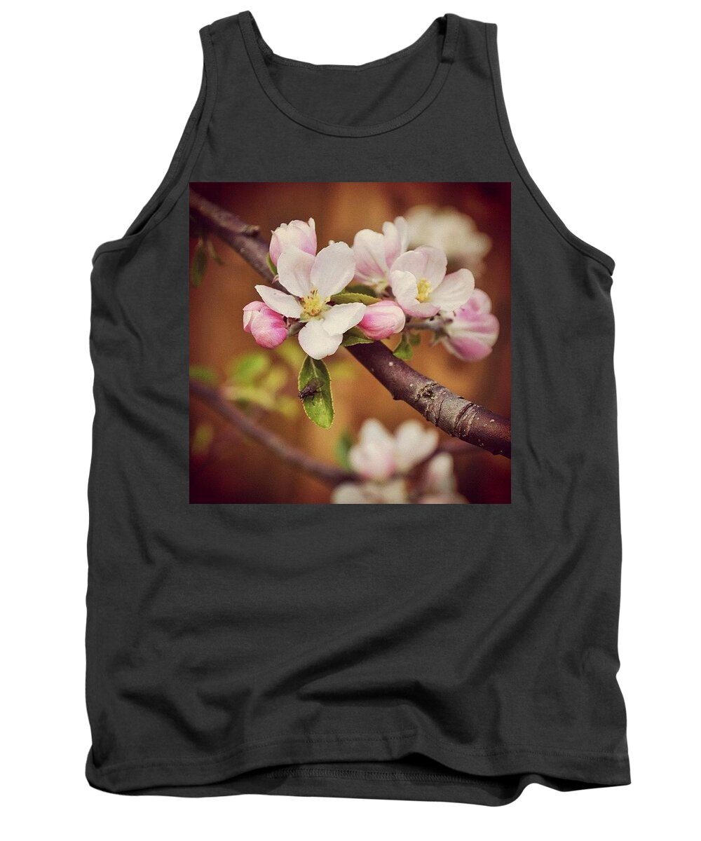 Tagstagram Tank Top featuring the photograph Apple Blossom by Silva Halo