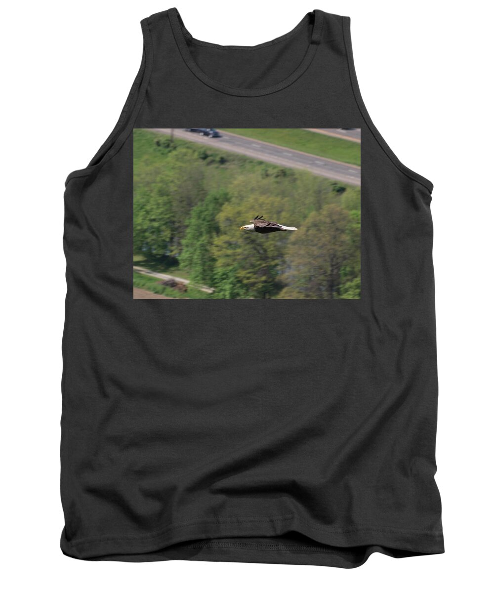 Bald Eagle Tank Top featuring the photograph Bald Eagle In Flight One by Joshua House