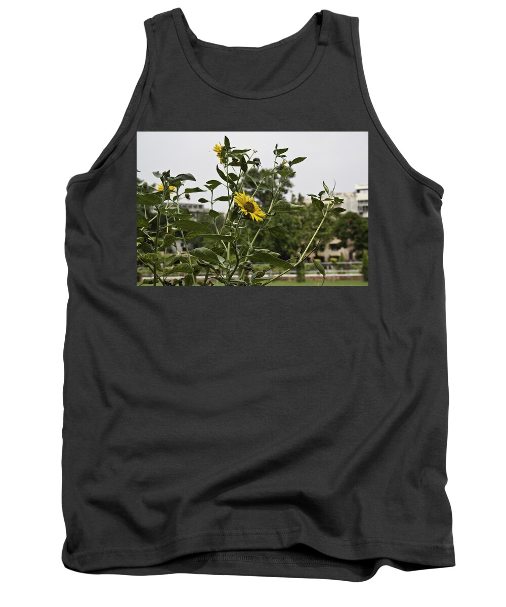 Amritsar Tank Top featuring the photograph Beautiful yellow flower in a garden by Ashish Agarwal