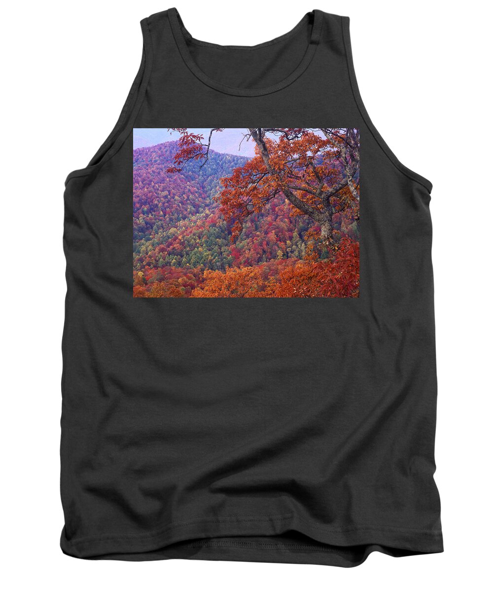 00176803 Tank Top featuring the photograph Blue Ridge Range With Autumn Deciduous by Tim Fitzharris