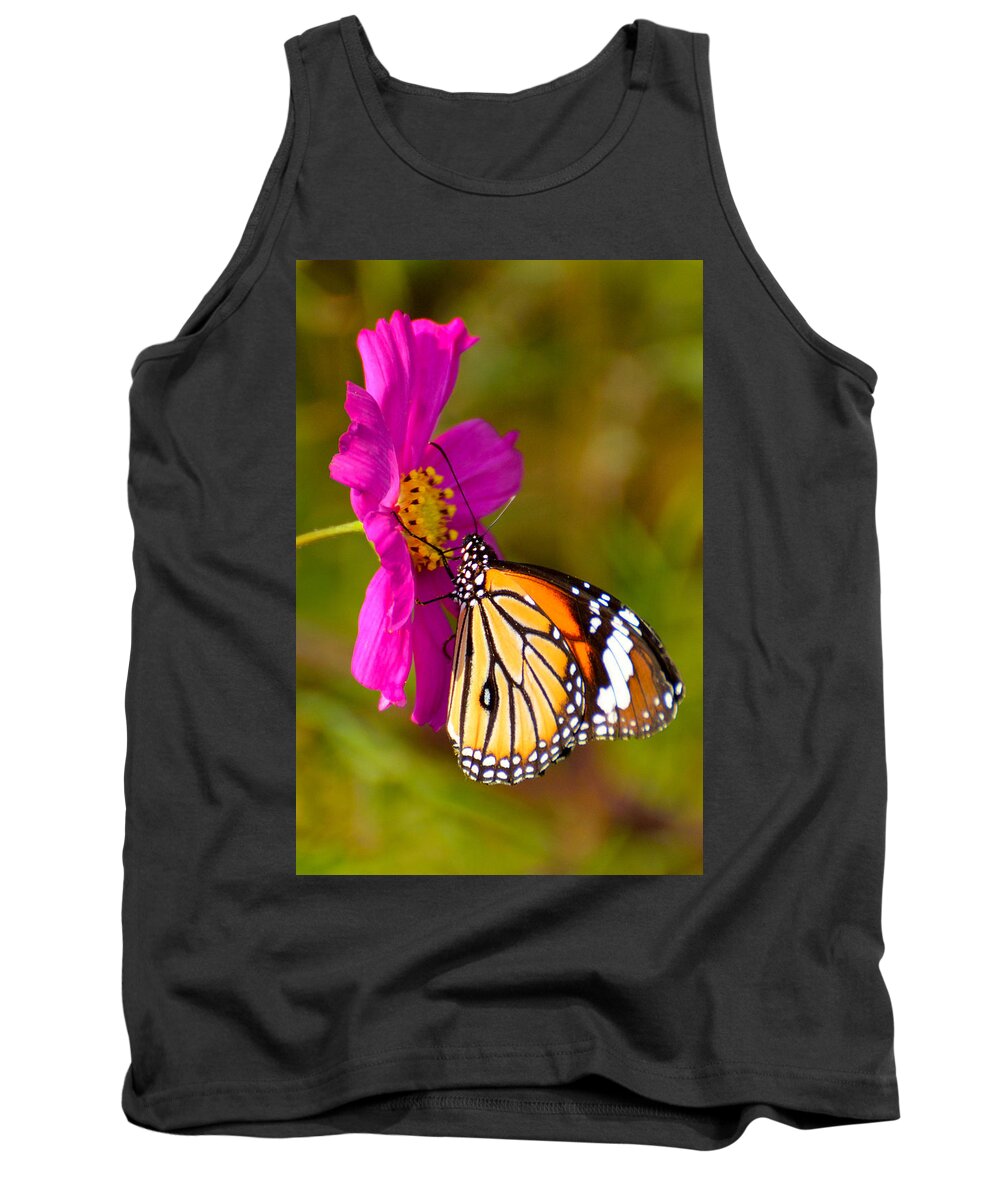 3331 Tank Top featuring the photograph Butterfly II by Fotosas Photography