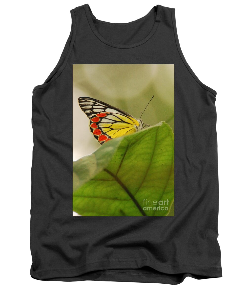 Butterfly Tank Top featuring the photograph Butterfly resting by Fotosas Photography