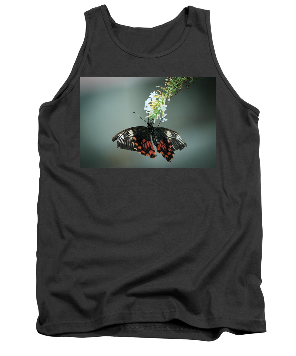 Bangalore Tank Top featuring the photograph Butterfly by SAURAVphoto Online Store