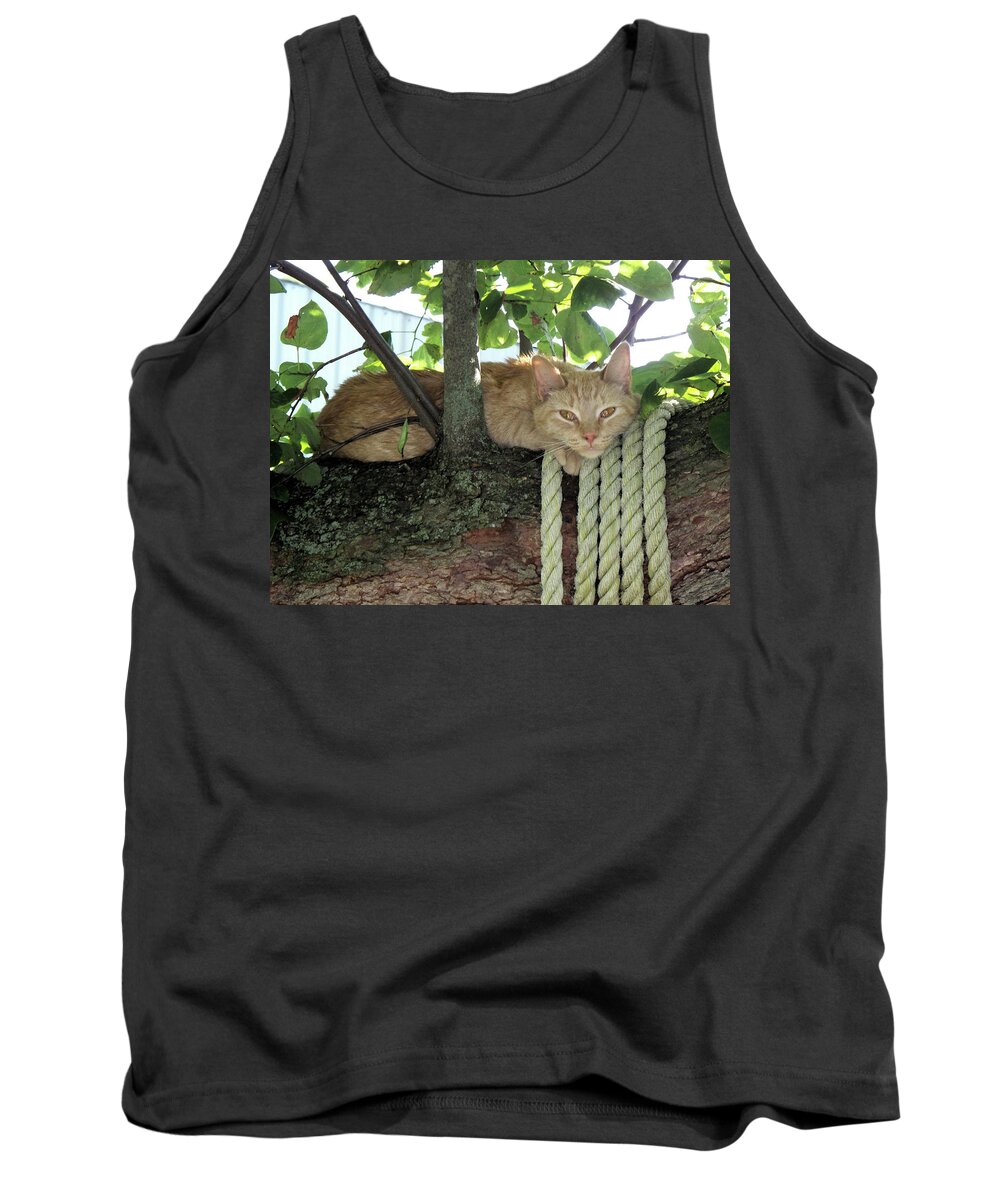 Tree Tank Top featuring the photograph Catnap Time by Thomas Woolworth