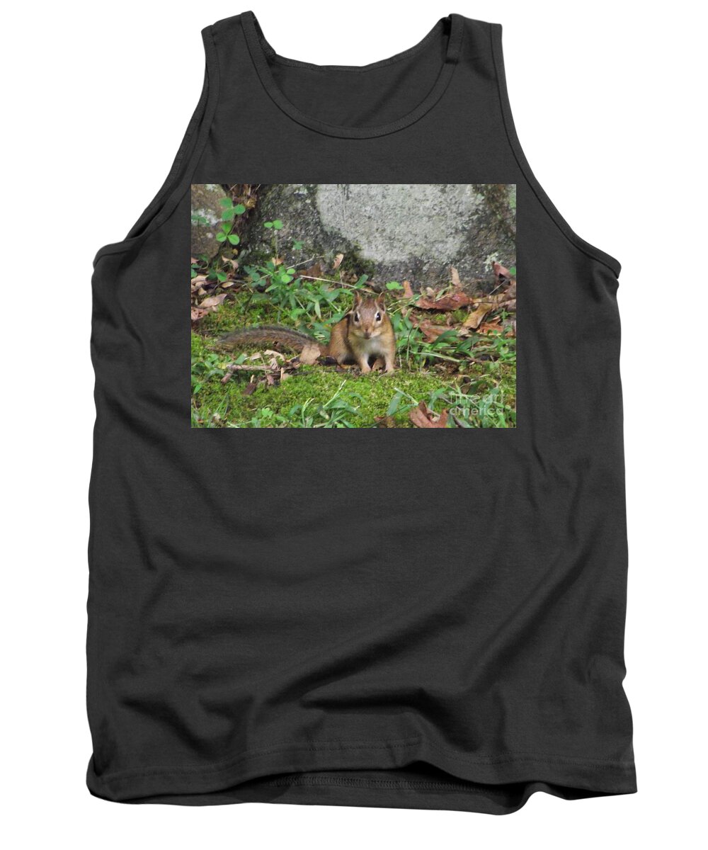 Nature Tank Top featuring the photograph Chipmunk by Michelle Welles