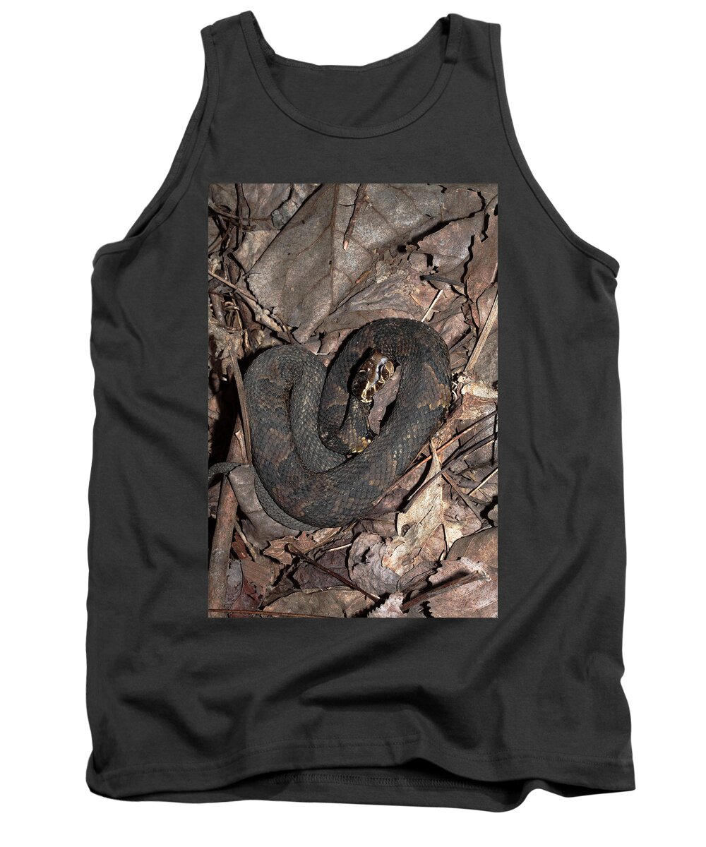Agkistrodon Piscivorus Tank Top featuring the photograph Cottonmouth by Daniel Reed