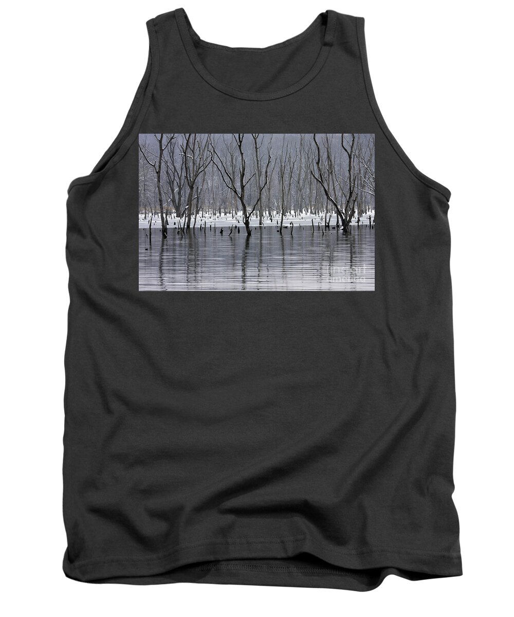  Tank Top featuring the photograph Dead of Winter by Dennis Hedberg