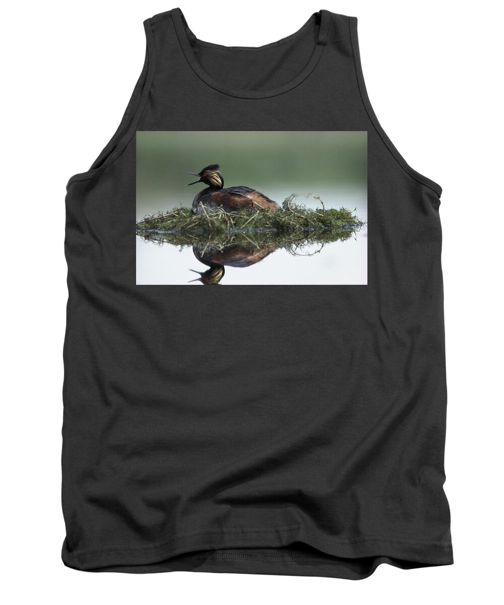 00171951 Tank Top featuring the photograph Eared Grebe In Breeding Plumage Calling by Tim Fitzharris