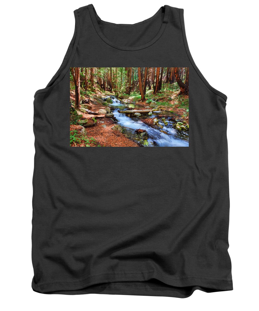 Stream Tank Top featuring the photograph Enchanted Forest by Beth Sargent