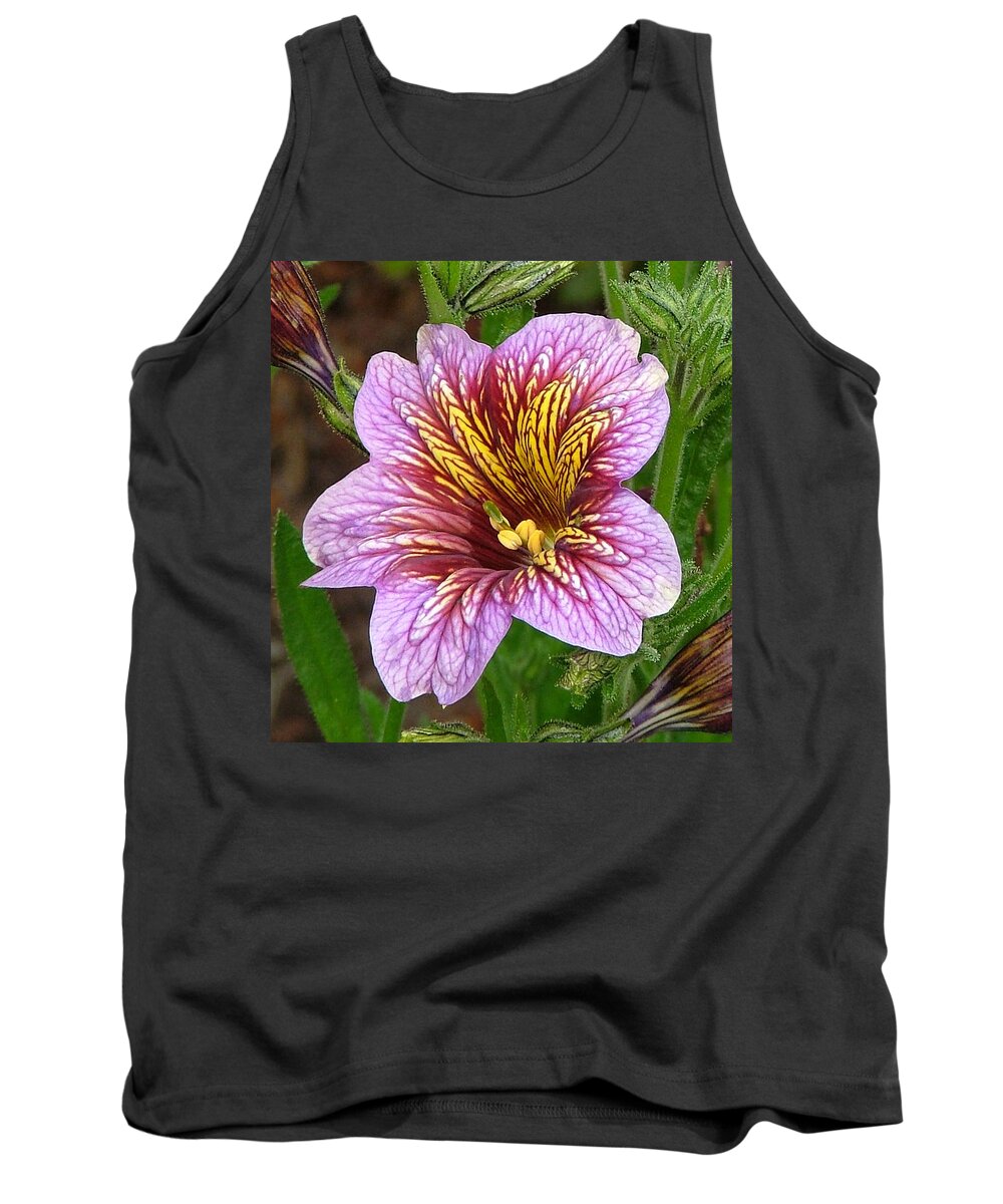 Flower Canvas Prints Tank Top featuring the photograph Exploding Beauty by Wendy McKennon