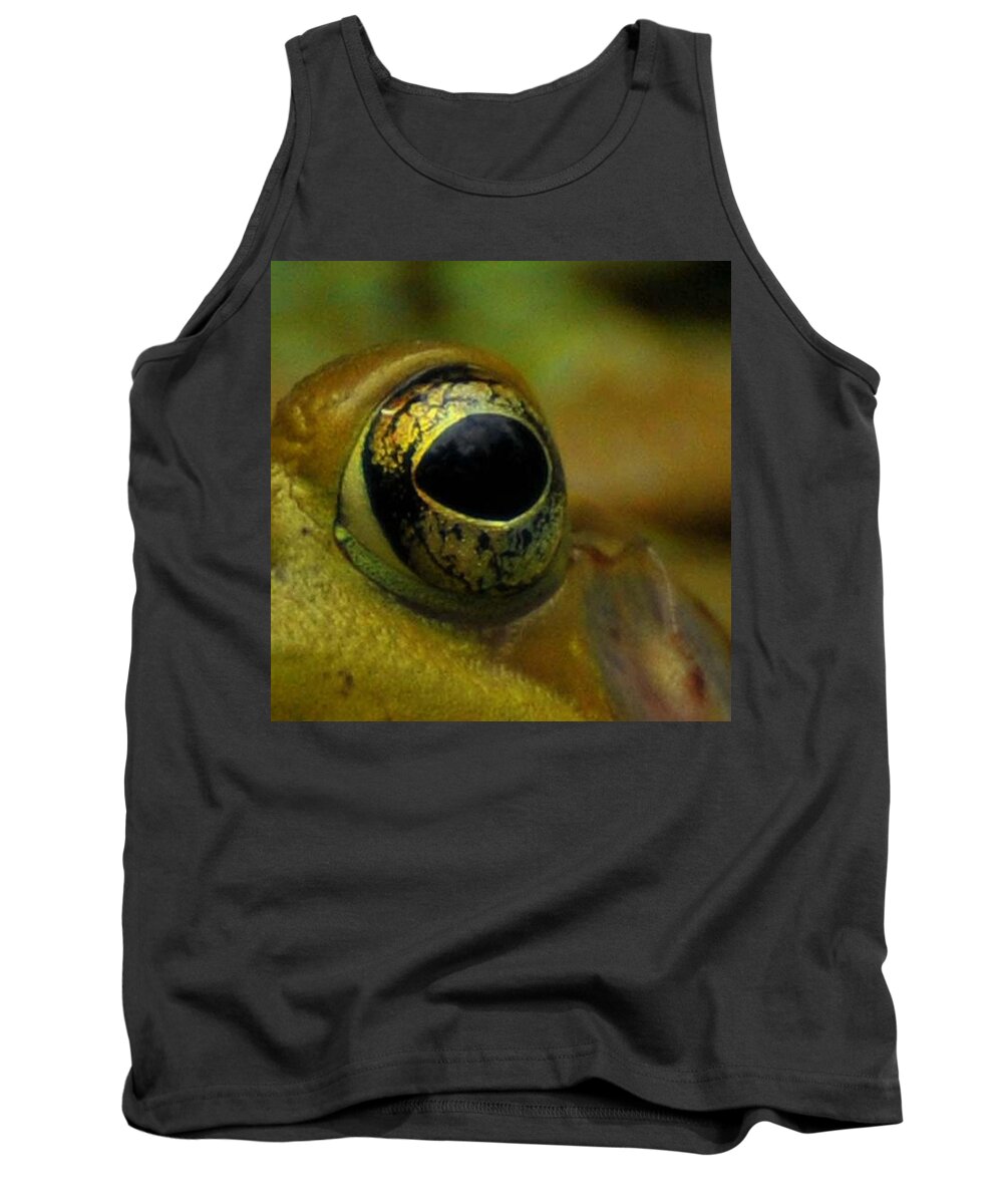 Frog Tank Top featuring the photograph Eye of Frog by Paul Ward