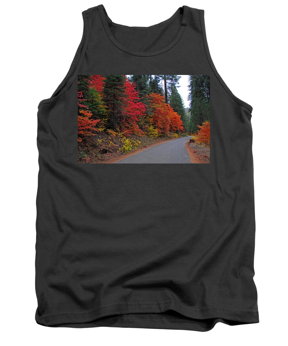 Sequoia National Park Tank Top featuring the photograph Fall's Splendor by Lynn Bauer