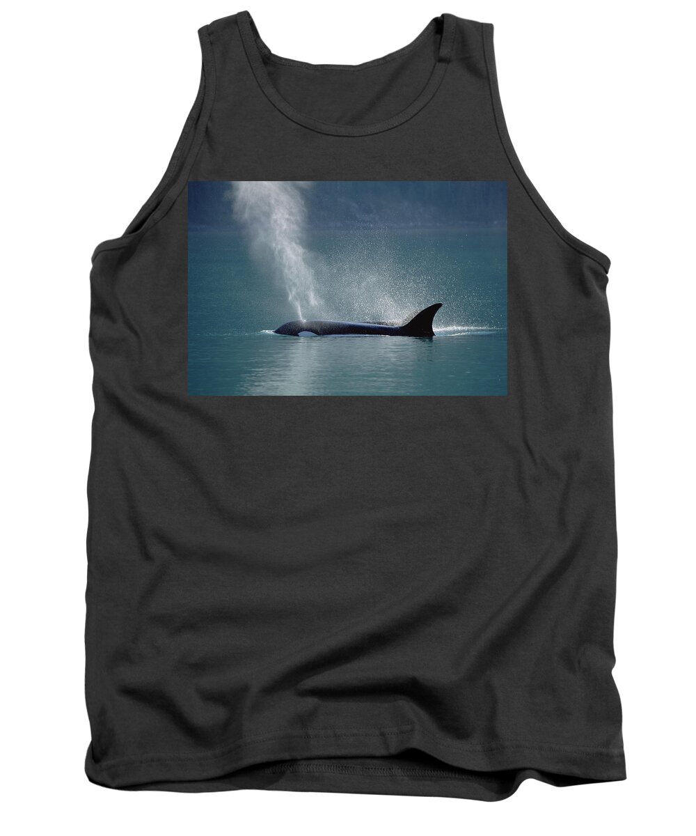00196760 Tank Top featuring the photograph Female Orca Spouting Alaska by Konrad Wothe
