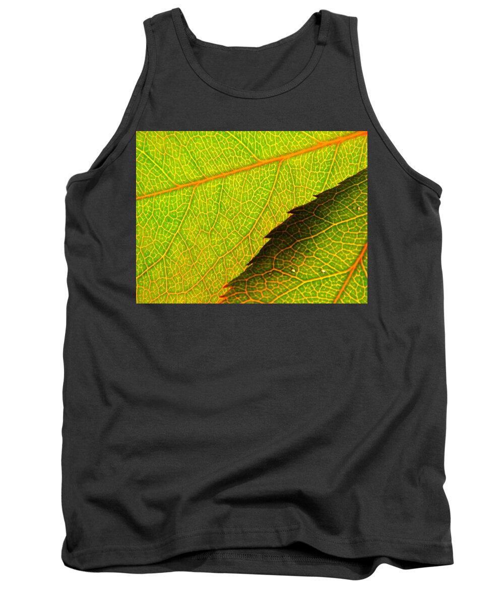 Rose Tank Top featuring the photograph Foliage 1 by Chris Berry