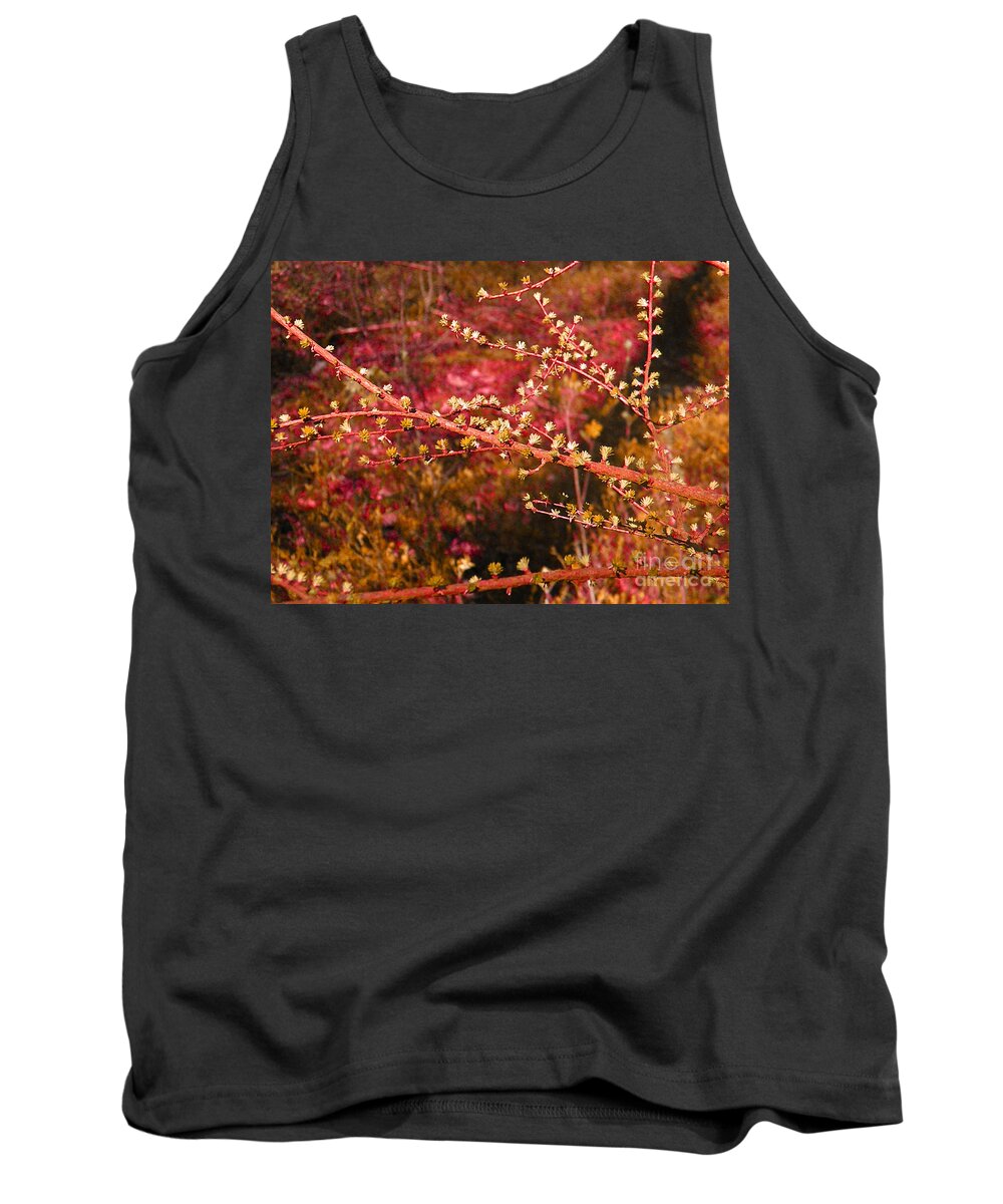 Tree Tank Top featuring the photograph forest - Red branch by Go Van Kampen
