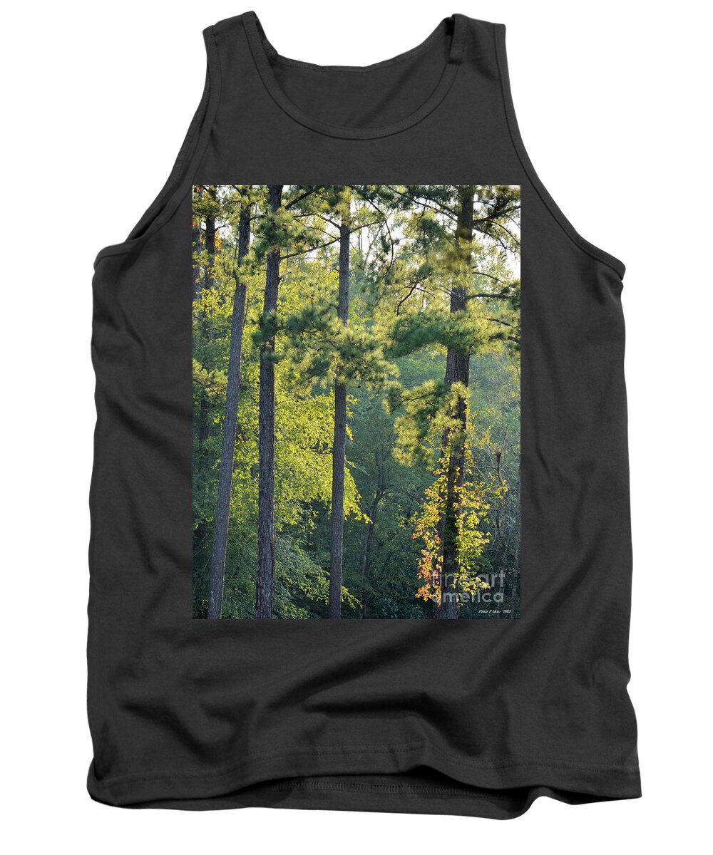 Forest Tank Top featuring the photograph Forest Illumination at Sunset by Maria Urso
