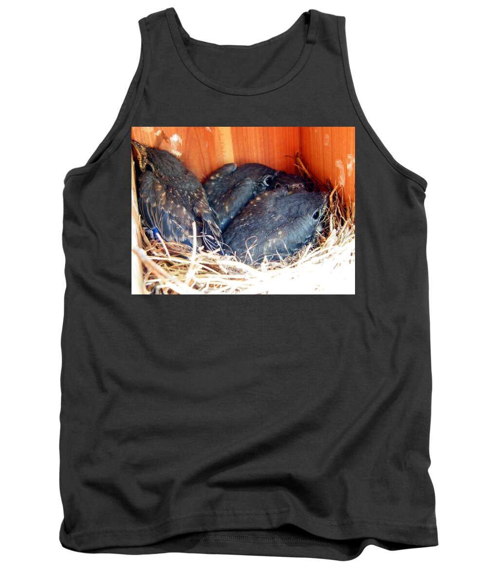 Baby Bluebirds Tank Top featuring the photograph Getting Crowded by Judy Wanamaker