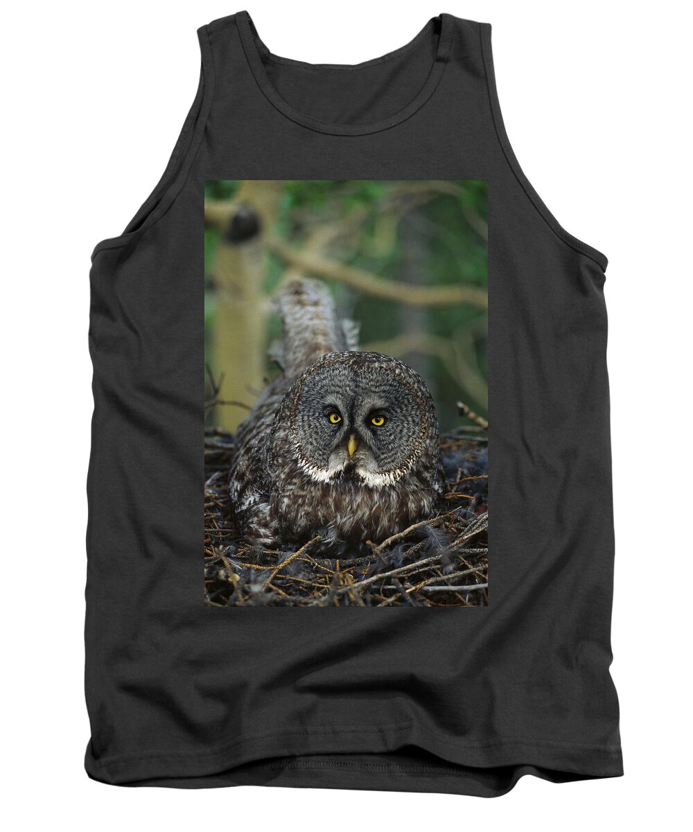 Mp Tank Top featuring the photograph Great Gray Owl Strix Nebulosa Parent by Michael Quinton