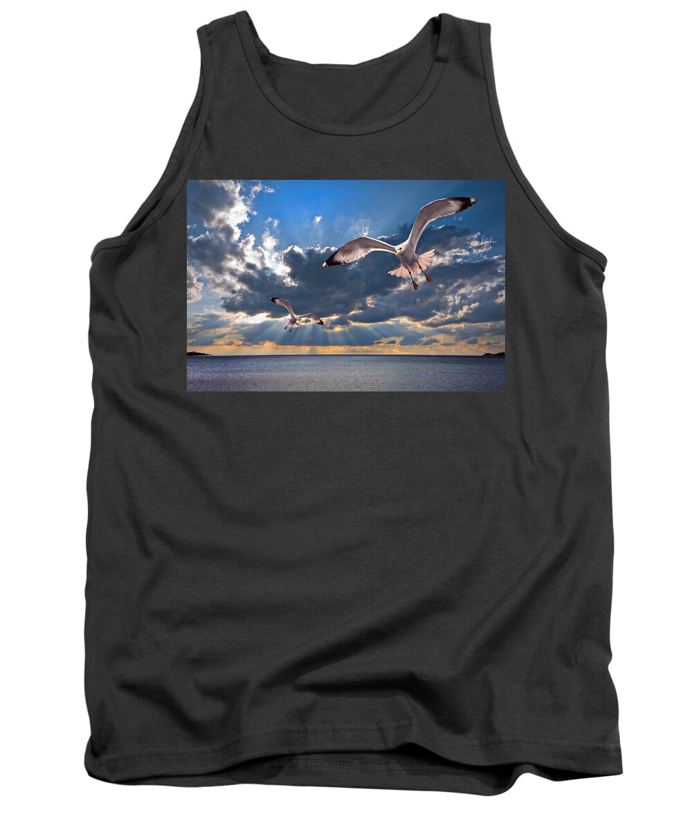 Gull Tank Top featuring the photograph Greek Gulls With Sunbeams by Meirion Matthias