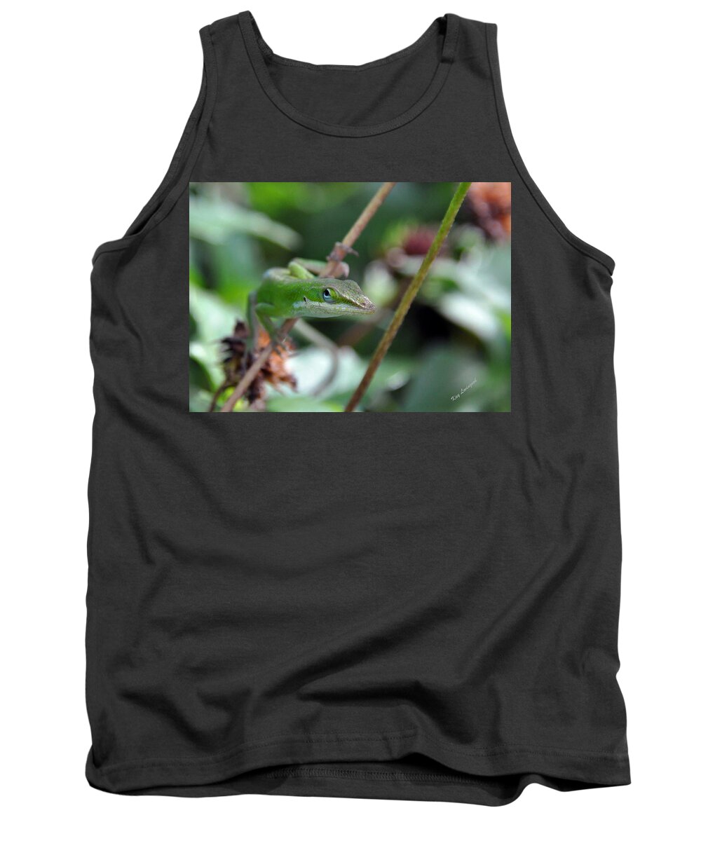 Green Anole Tank Top featuring the photograph Green Anole by Kay Lovingood