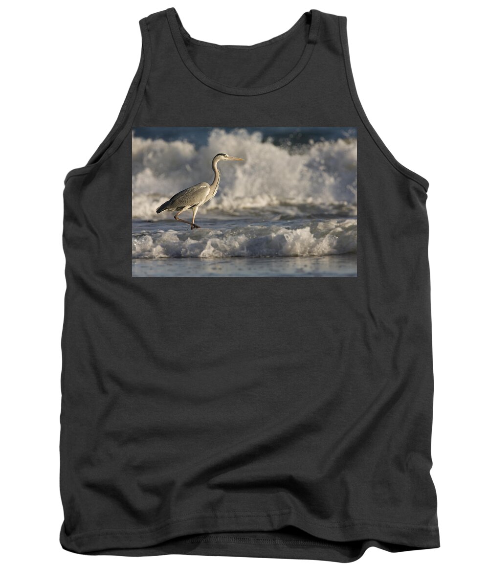 00481430 Tank Top featuring the photograph Grey Heron Wading In Surf Zone Hawf by Sebastian Kennerknecht
