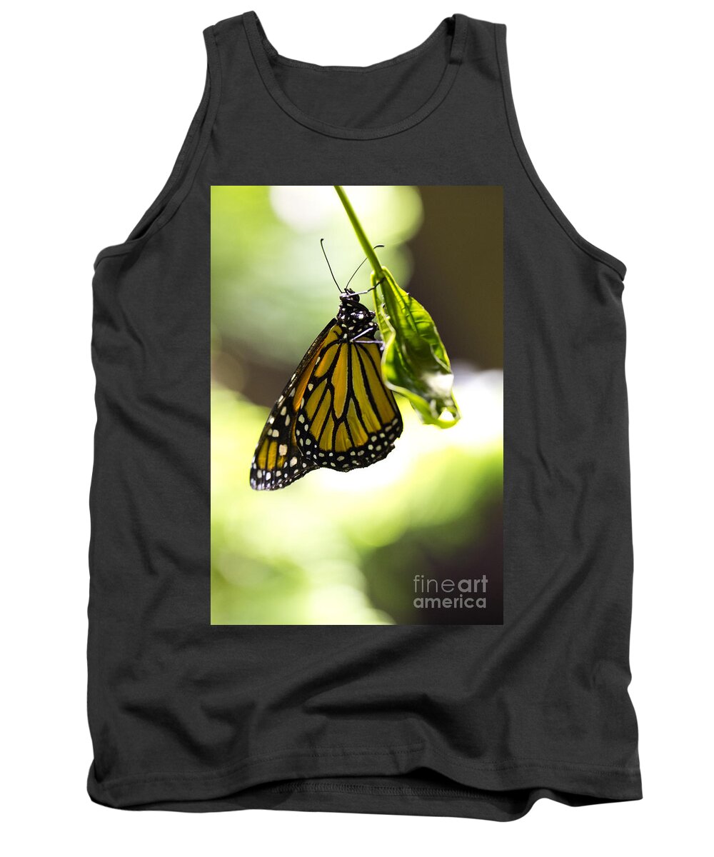Butterfly Tank Top featuring the photograph Hanging on by Leslie Leda