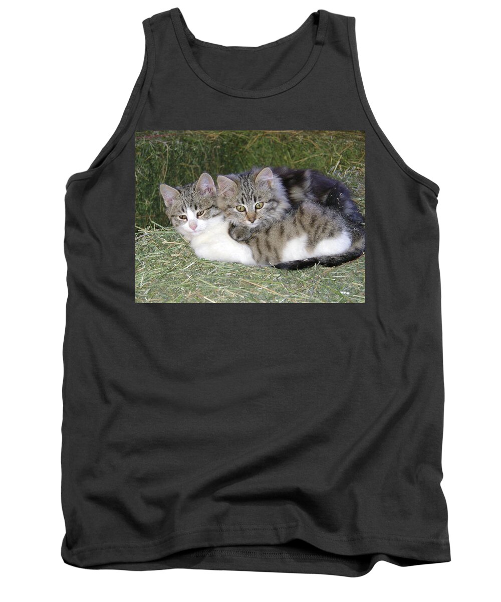Cat Tank Top featuring the photograph Haystack Buddies by Charles and Melisa Morrison