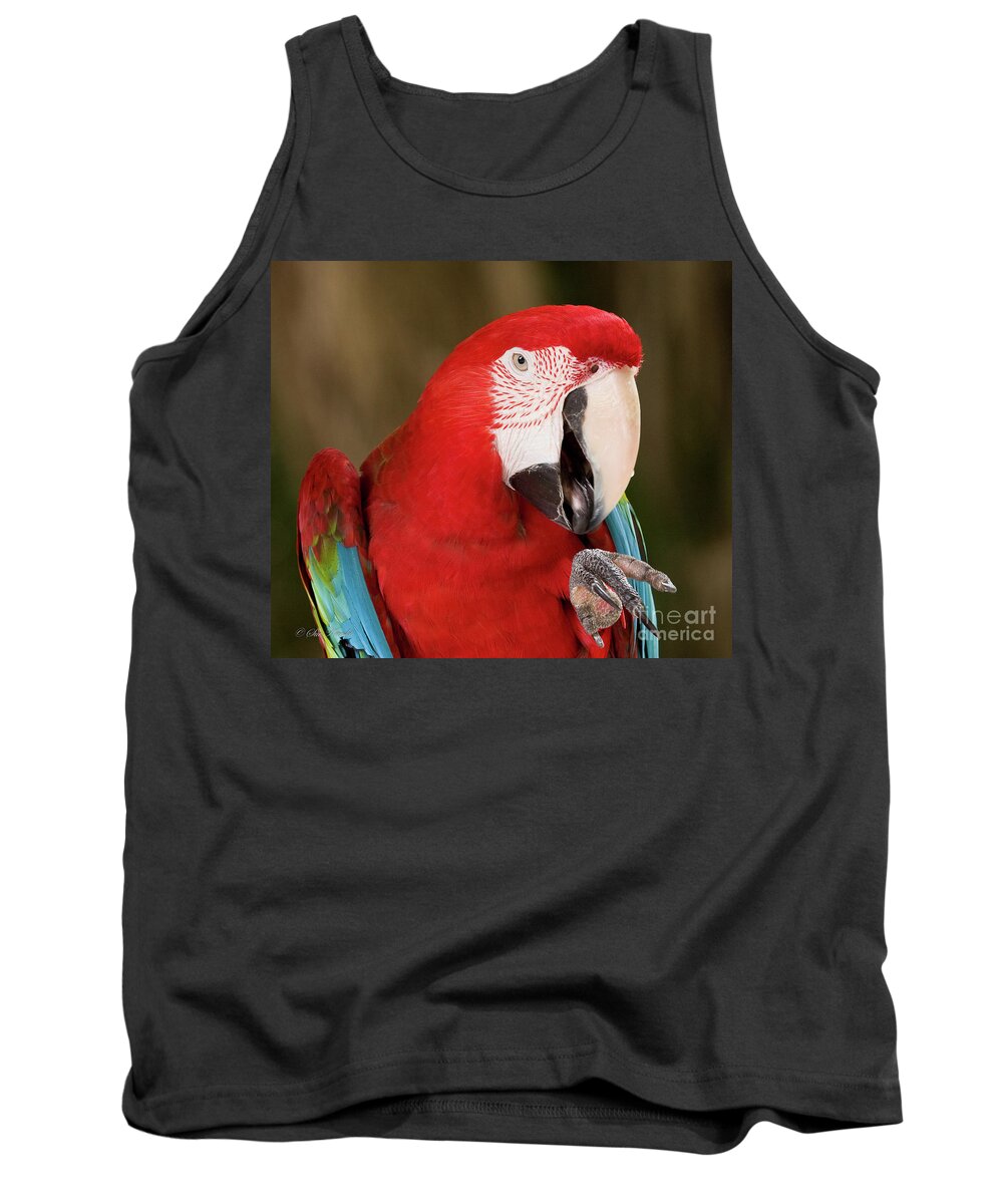 Birds Tank Top featuring the photograph He went that way by Sue Karski