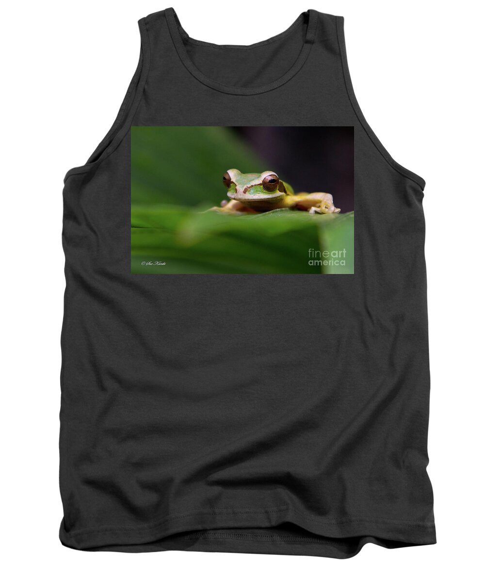 Costa Rica Tank Top featuring the photograph Heres Looking at You by Sue Karski