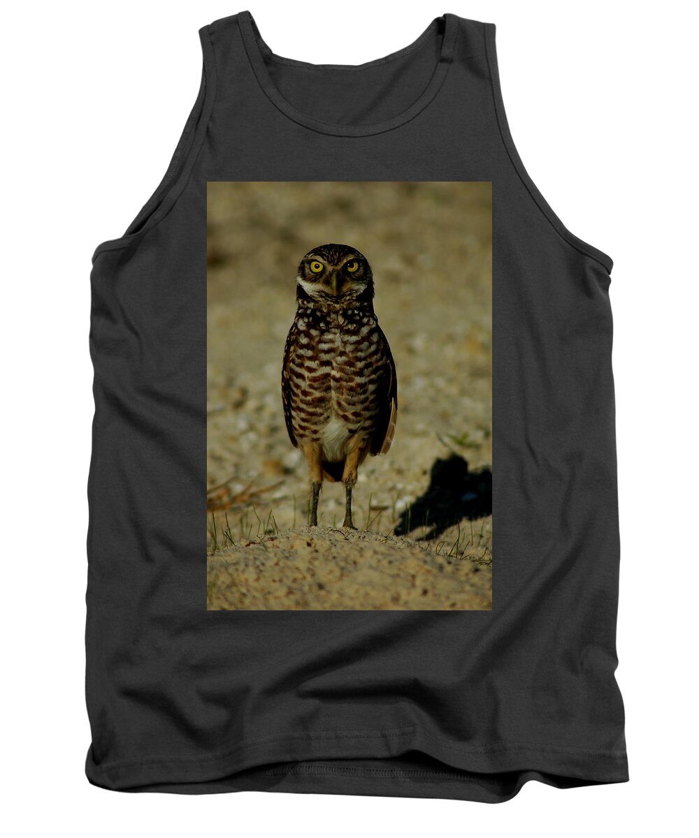 Owl Tank Top featuring the photograph Hoo Are You? by David Weeks