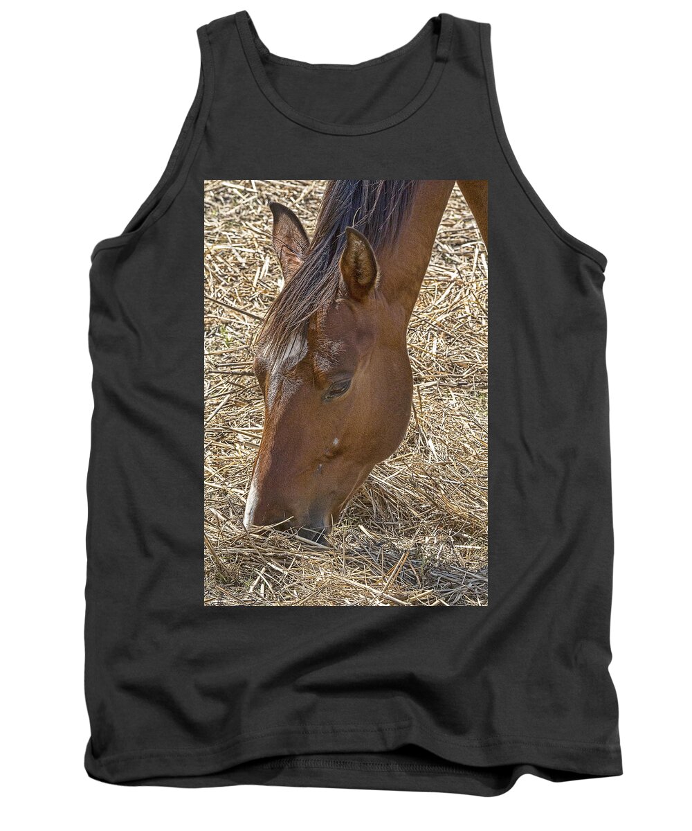 Horse Tank Top featuring the photograph Horse with no Name by Douglas Barnard
